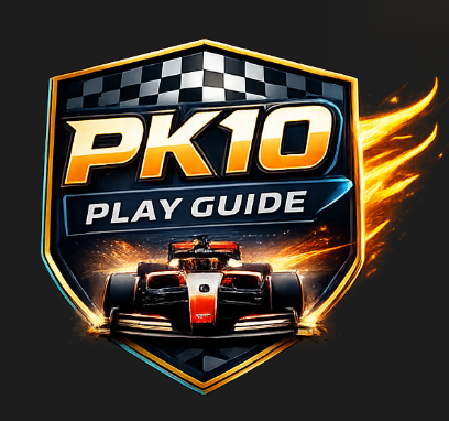 PK10 PLAY GUIDE logo
